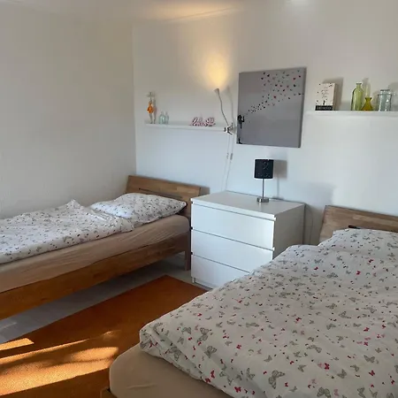 Schaefer シュマレンベルク